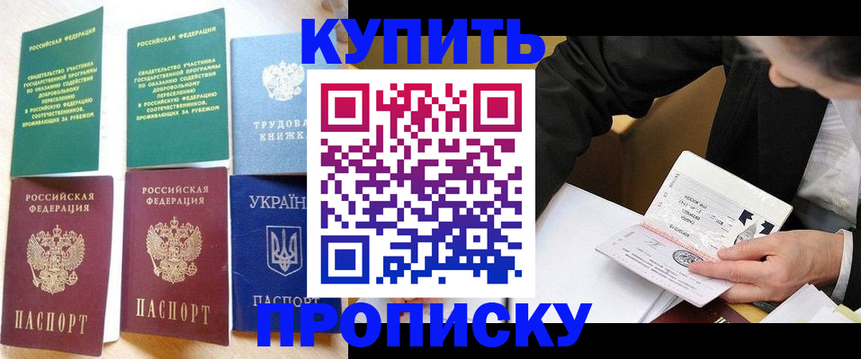 прописка для школы в Кашине